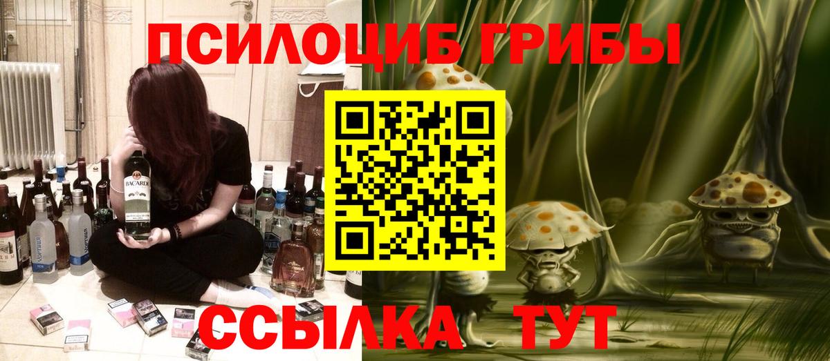 Псилоцибиновые грибы мухоморы Москва