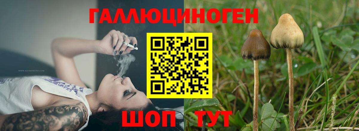 Галлюциногенные грибы прущие грибы  Вход с VPN  Москва 